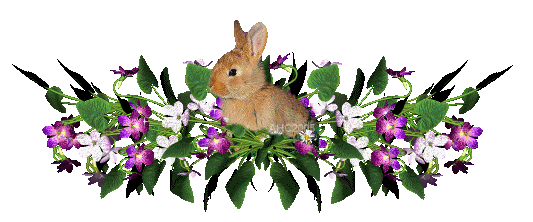 072a87fe separateur lapin 2