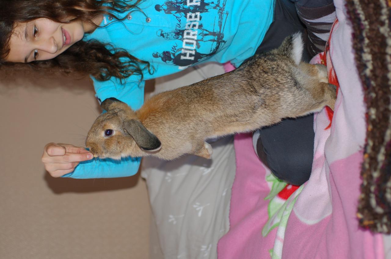 DSC_1167 Choupette