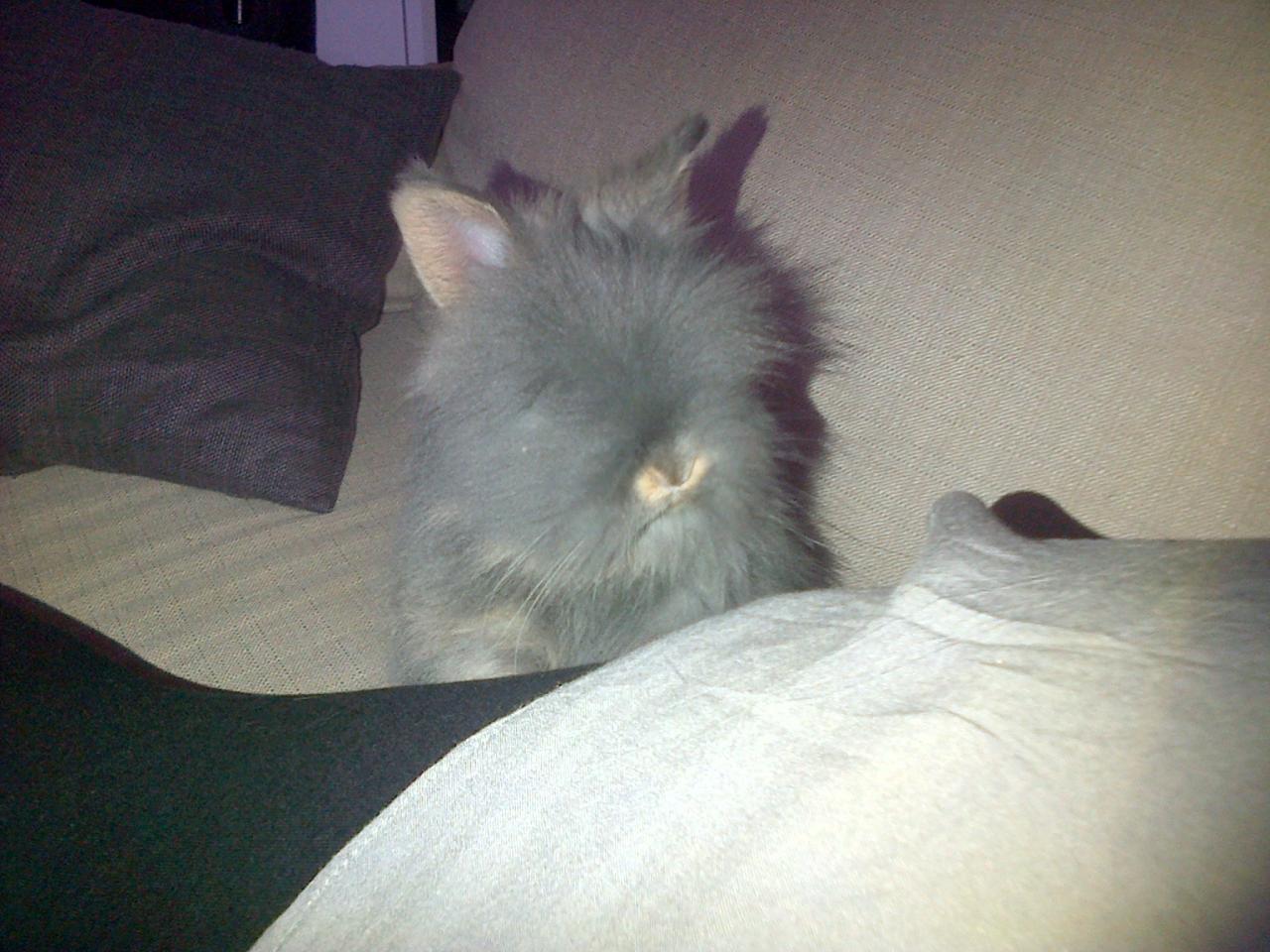 IMG-20131202-01591 antus