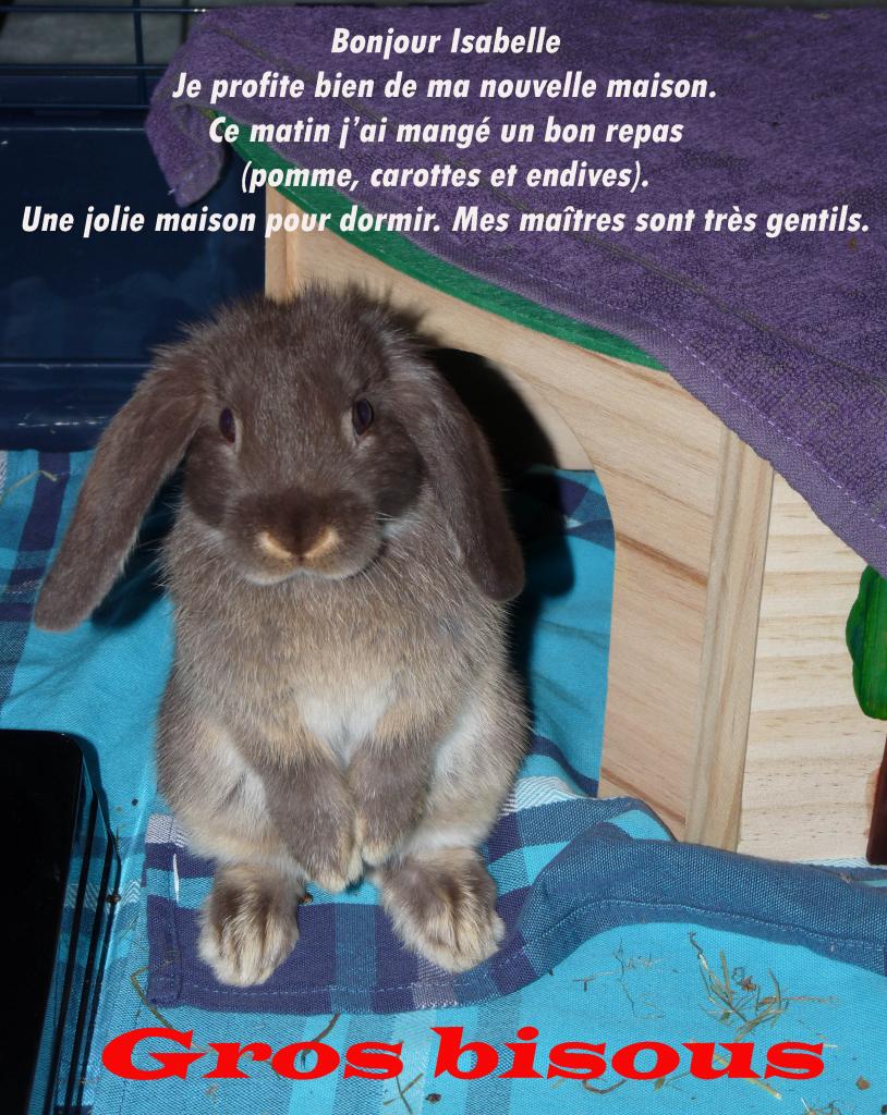 Noisette