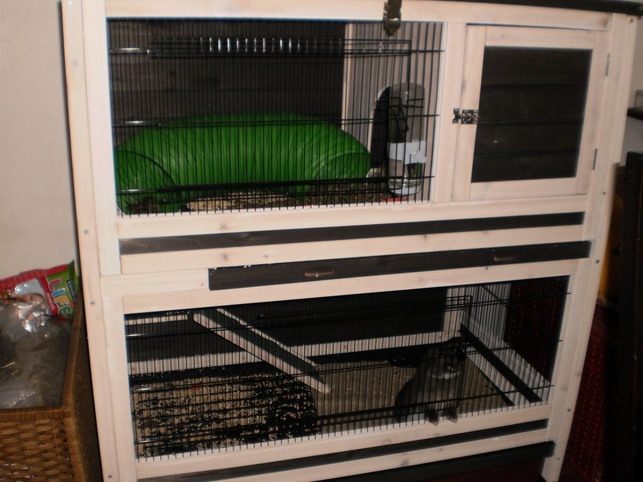 Photo 013