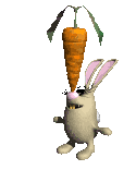 legumes-carottes-5.gif